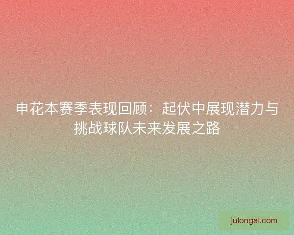 申花本赛季表现回顾：起伏中展现潜力与挑战球队未来发展之路