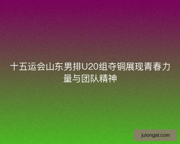 十五运会山东男排U20组夺铜展现青春力量与团队精神